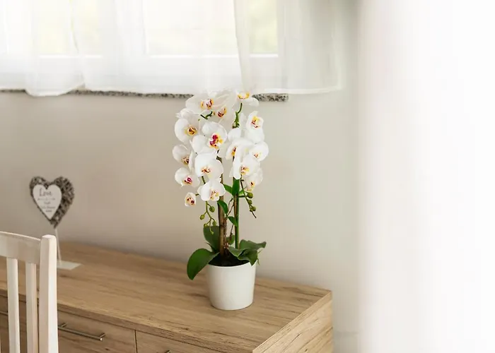 Suric Gostinjska kuća Sukosan